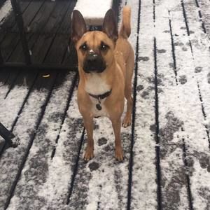 Meet your Posher, Vale